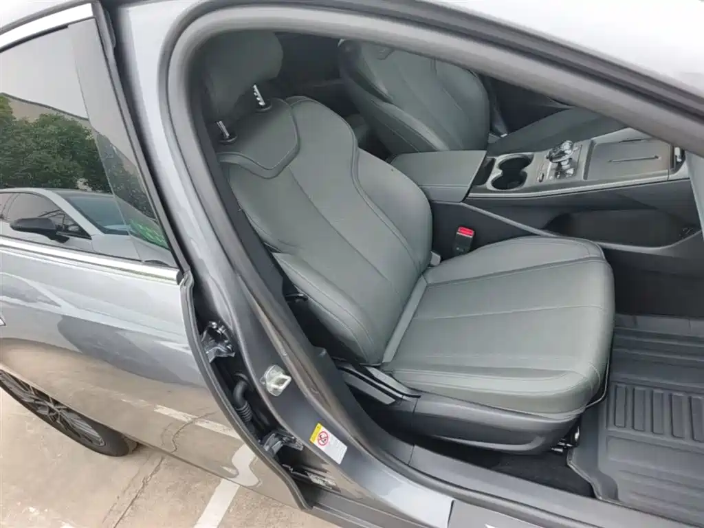 BYD BYD Qin PLUS EV 510KM Leading Edition 2025 - thumbnail 25