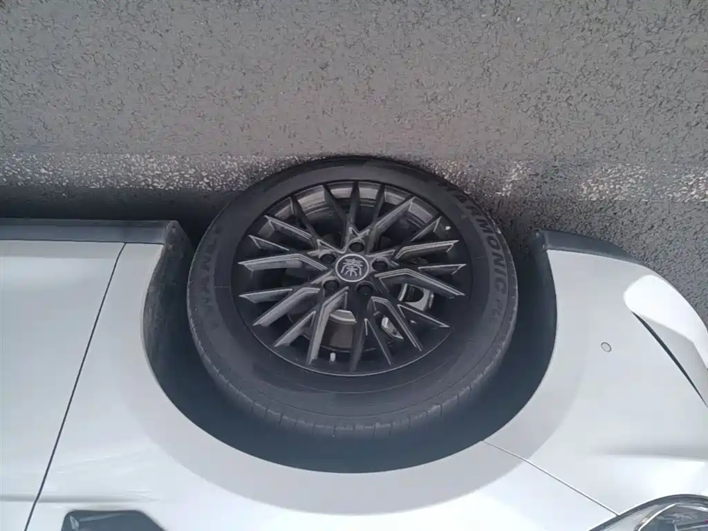 BYD Qin PLUS EV 510KM 2025 - thumbnail 23