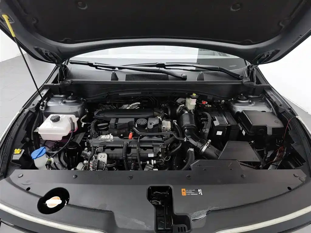 Kia Kia Sportage 2025 1.5T FWD Prestige 2025 - thumbnail 6