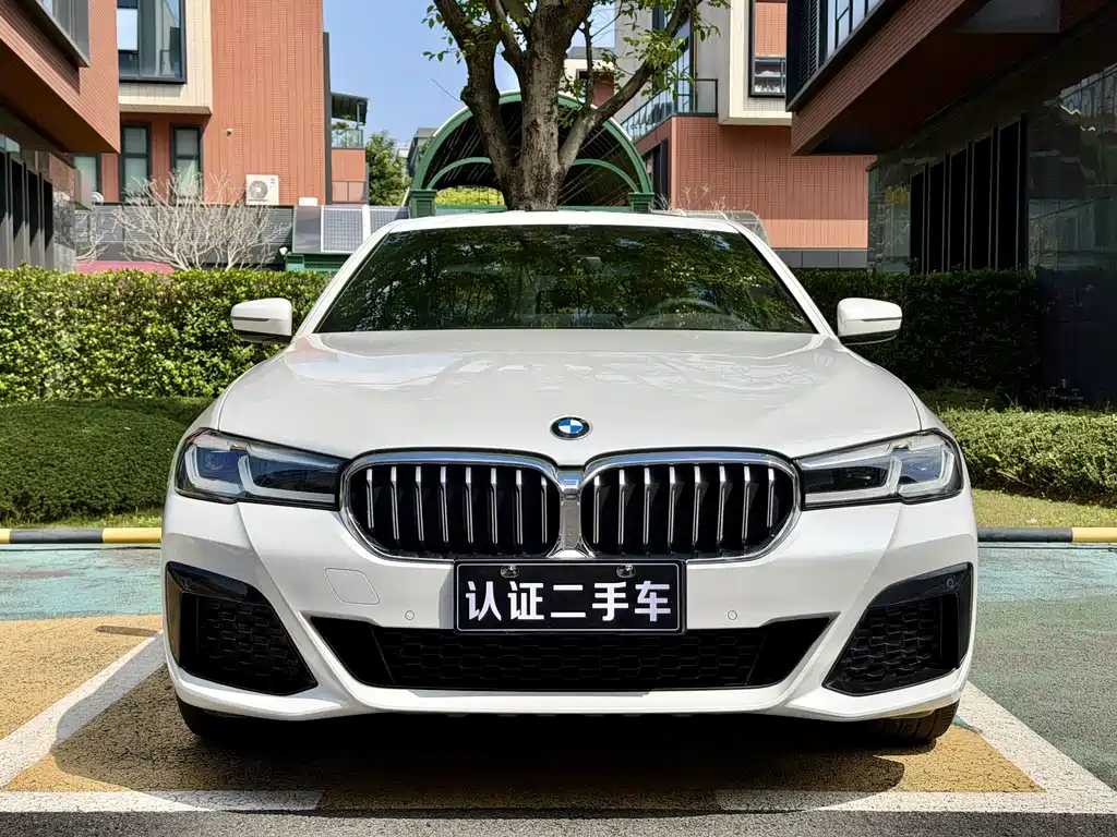 BMW BMW 5 Series 530Li M Sport 2021 - thumbnail 2