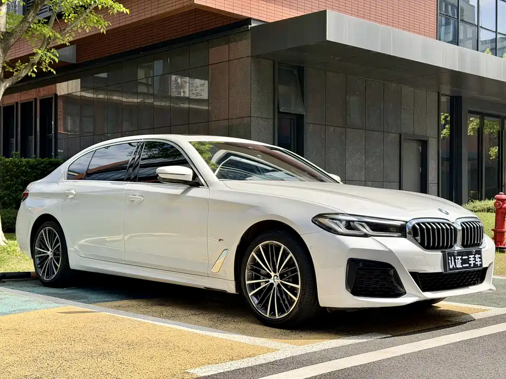 BMW BMW 5 Series 530Li M Sport 2021 - thumbnail 3