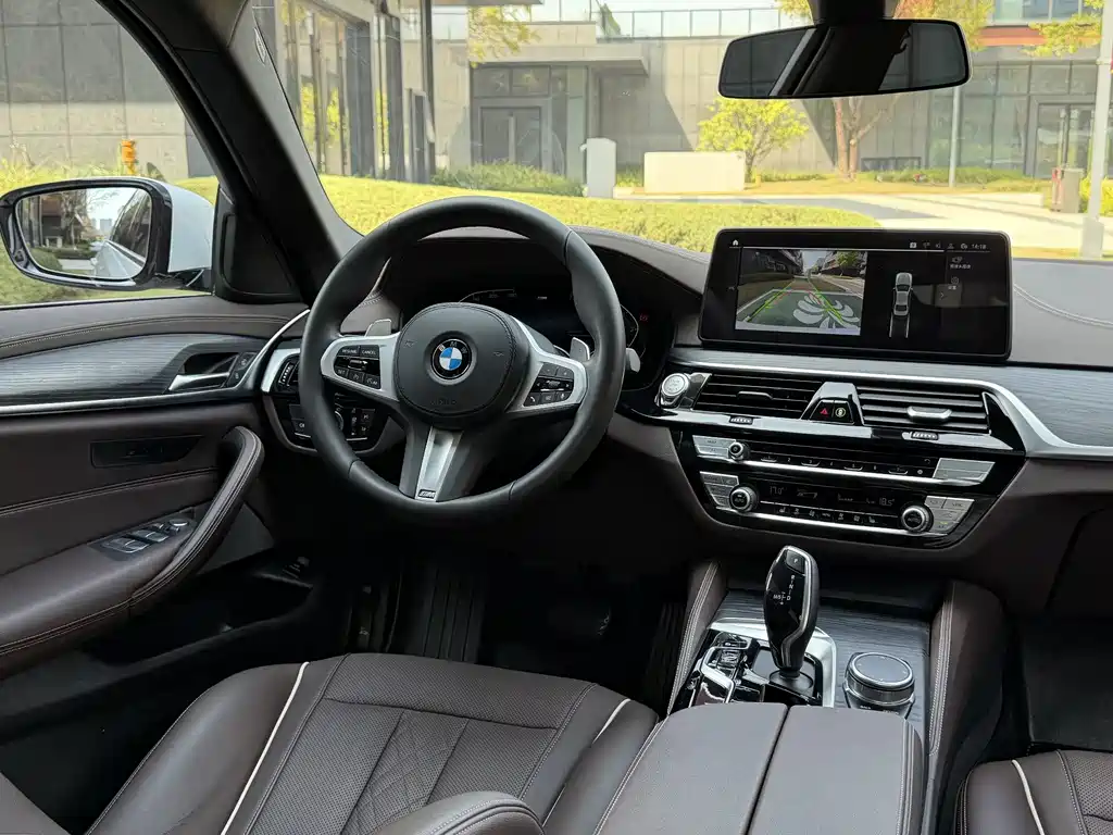 BMW BMW 5 Series 530Li M Sport 2021 - thumbnail 6