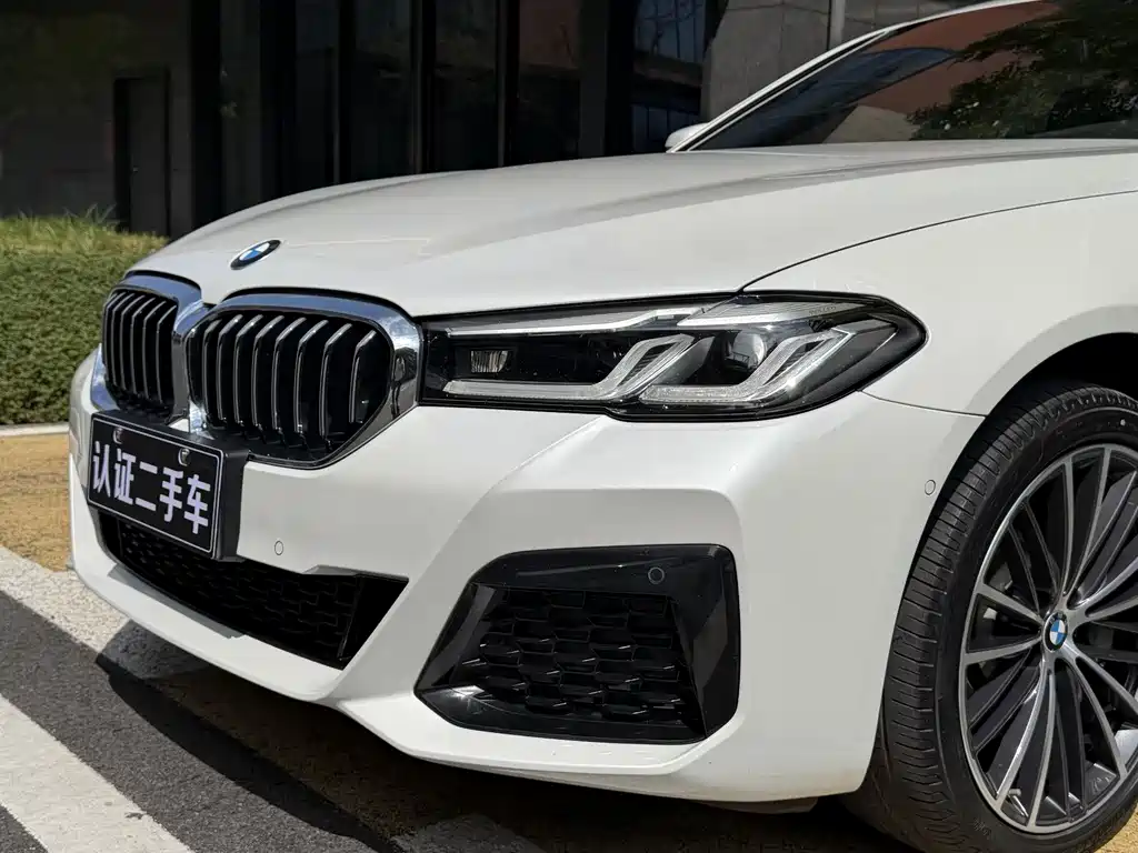 BMW BMW 5 Series 530Li M Sport 2021 - thumbnail 16