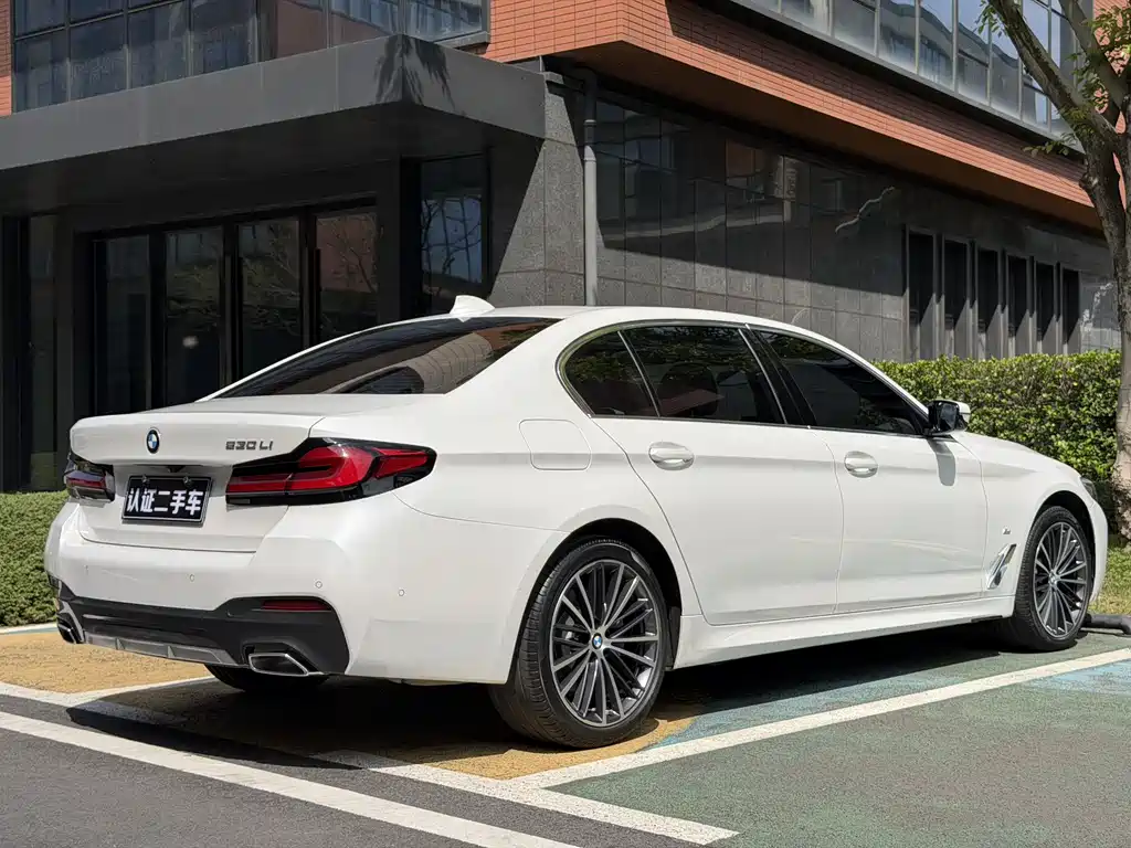 BMW BMW 5 Series 530Li M Sport 2021 - thumbnail 17