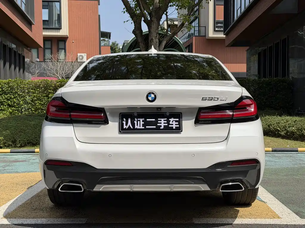 BMW BMW 5 Series 530Li M Sport 2021 - thumbnail 18