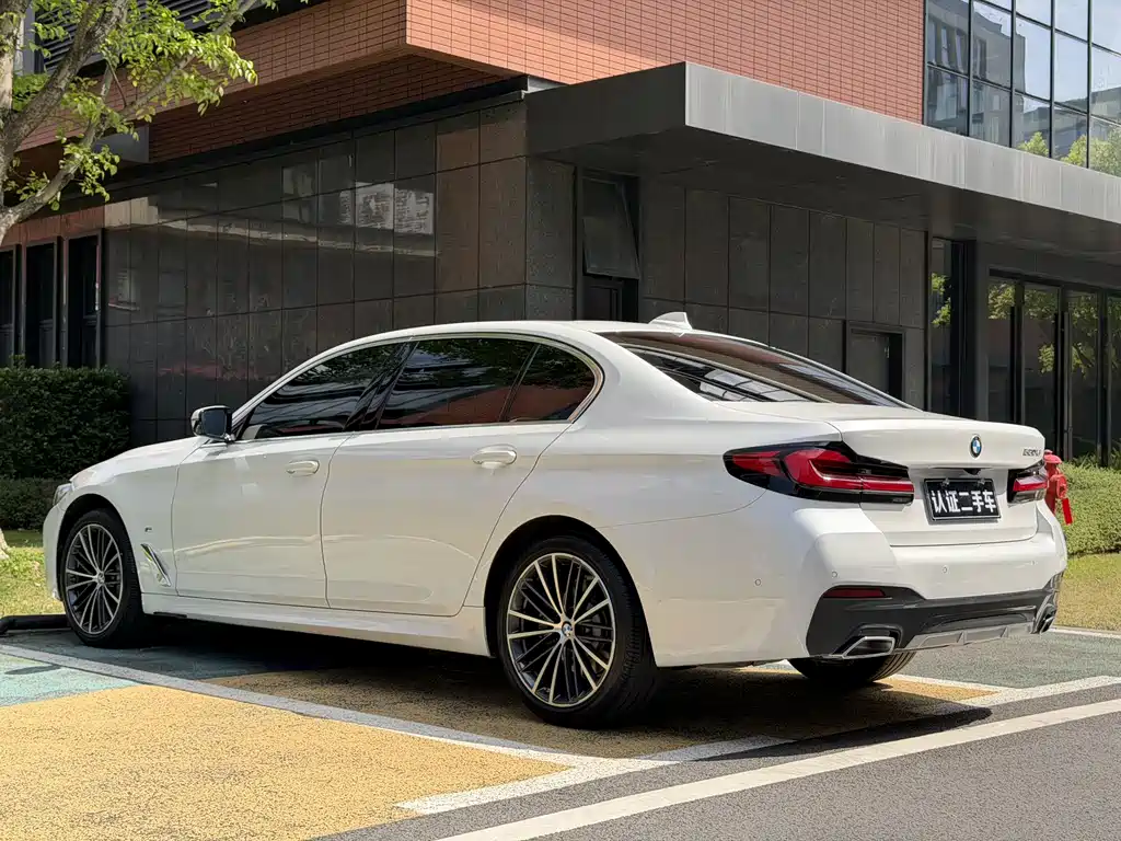 BMW BMW 5 Series 530Li M Sport 2021 - thumbnail 19