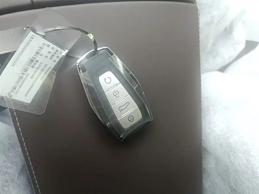 Geely Auto Geely Monjaro 2026 Dongfang Yao 2.0TD Automatic Wangyue Edition 2026 - thumbnail 9