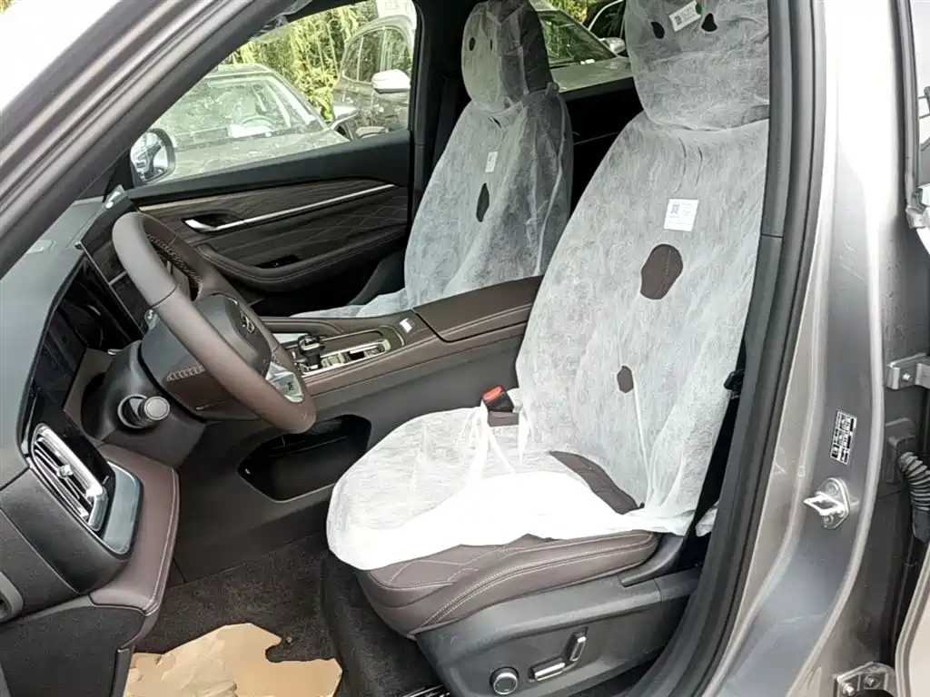 Geely Auto Geely Monjaro 2026 Dongfang Yao 2.0TD Automatic Wangyue Edition 2026 - thumbnail 15