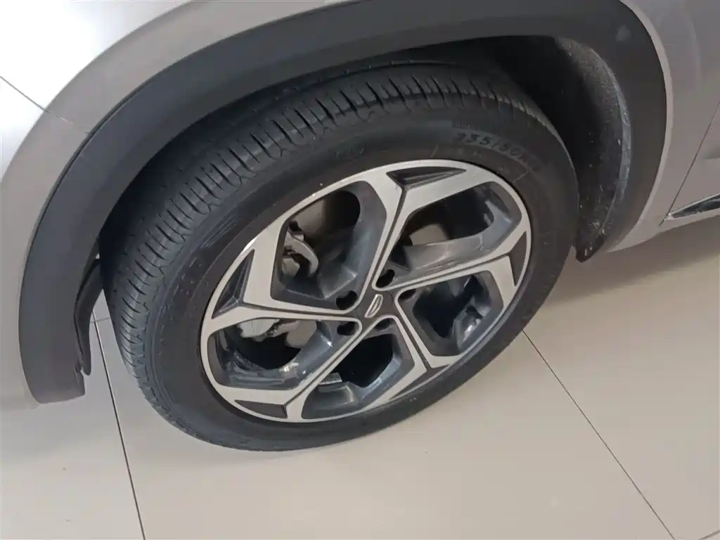 Geely Auto Geely Monjaro 2021 2.0TD High Power Automatic AWD Premium Edition 2021 - thumbnail 23