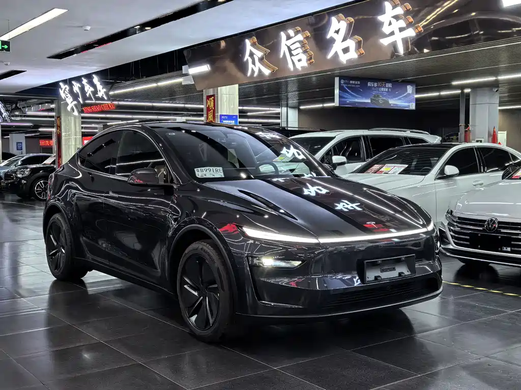 Tesla Model Y Long Range AWD 2026 - thumbnail 3