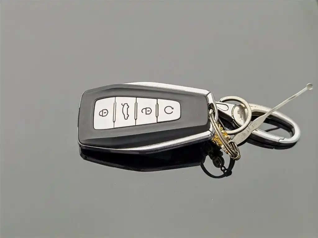 Geely Auto Geely Boyue L 1.5TD DCT Premium 2023 - thumbnail 19