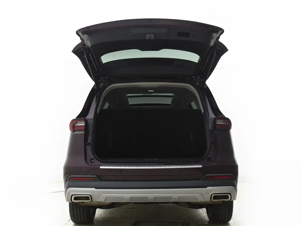 Ford Ford Territory EcoBoost 225 Platinum Edition 6-Seater 2021 - thumbnail 6