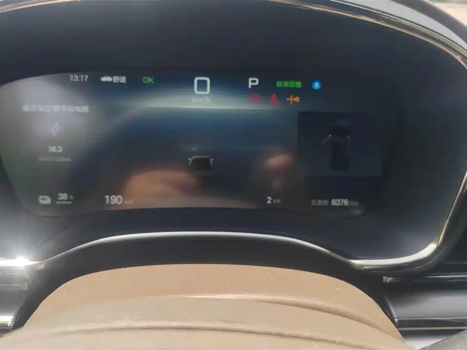 BYD BYD e9 2025 506 Luxury Edition 2025 - thumbnail 14