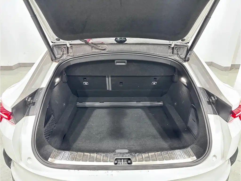 Polestar Polestar 4 2024 Dual Motor Long Range PLUS Dual Star Interconnection Edition 2024 - thumbnail 6