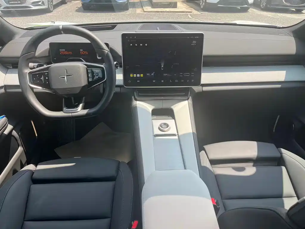 Polestar Polestar 4 2024 Dual Motor Long Range PLUS Dual Star Interconnection Edition 2024 - thumbnail 8