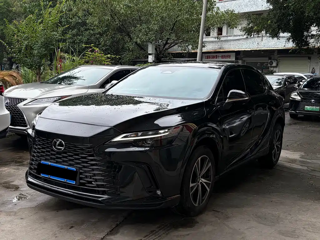 Lexus Lexus RX 2025 300 AWD Junxiang Edition 2024