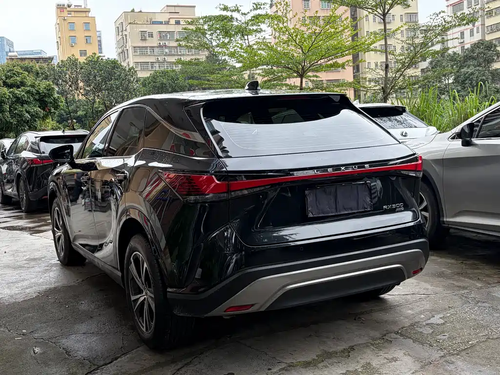 Lexus Lexus RX 2025 300 AWD Junxiang Edition 2024 - thumbnail 8