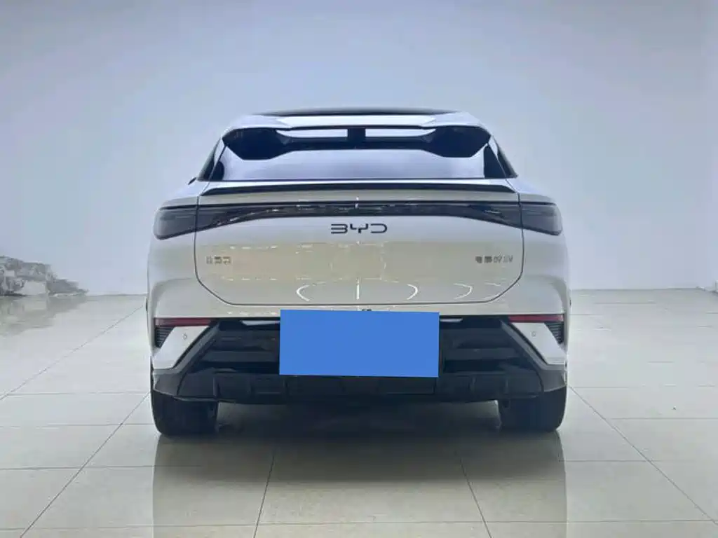 BYD Sea Lion 07 EV 2025 - thumbnail 9