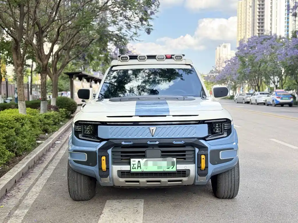 Deepal Deepal G318 2025 Worry-Free Crossing Edition AWD Yuanshan Edition 2025 - thumbnail 3
