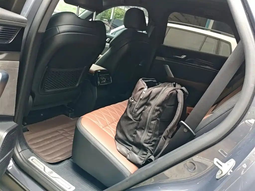 BYD Tang DM-i Champion Edition 112KM Noble 2023 - thumbnail 13