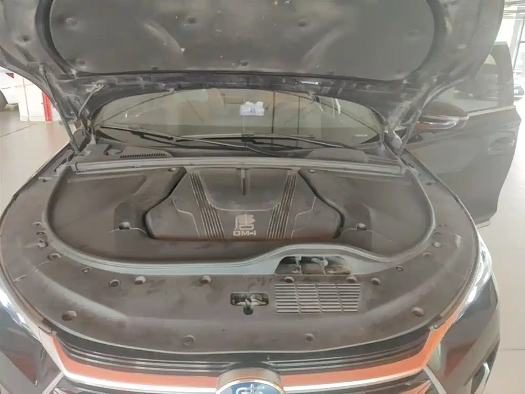 BYD Tang DM-i Champion Edition 112KM Exclusive 2023 - thumbnail 20