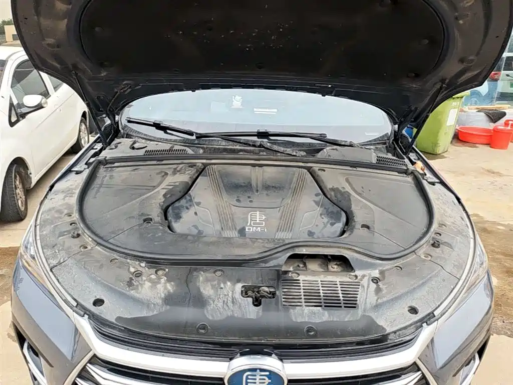 BYD BYD Tang DM-i Champion Edition 112KM Prestige 2024 - thumbnail 20