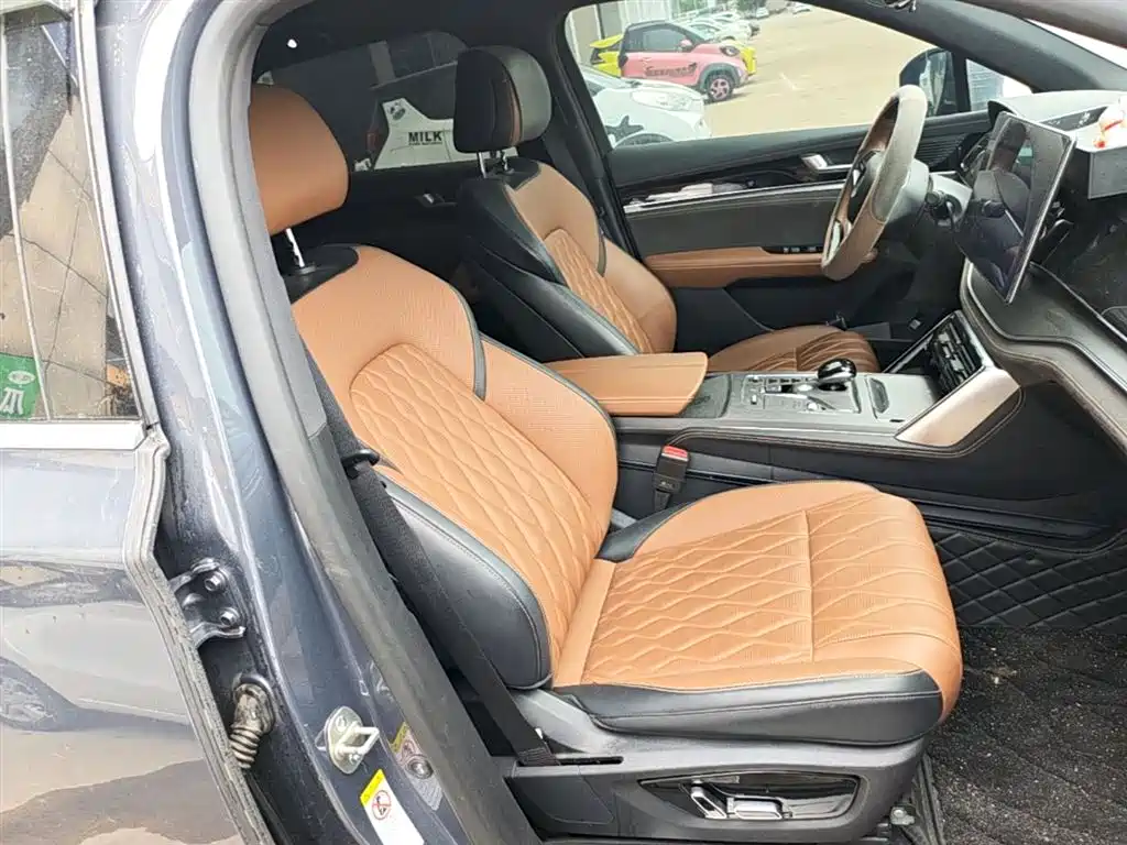 BYD BYD Tang DM-i Champion Edition 112KM Prestige 2024 - thumbnail 25
