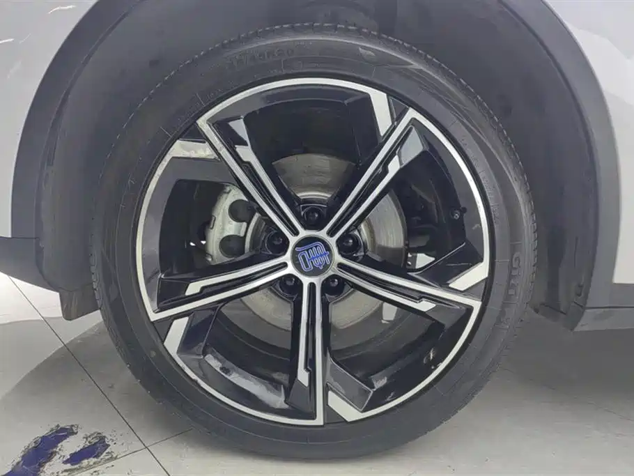 BYD BYD Tang 2021 DM-i 112KM Premium 2022 - thumbnail 6