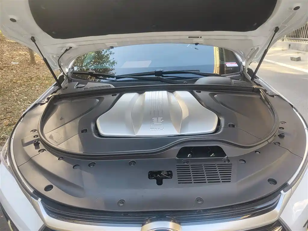 BYD Tang New Energy 2021 DM-i 112KM Zunrong 2023 - thumbnail 11