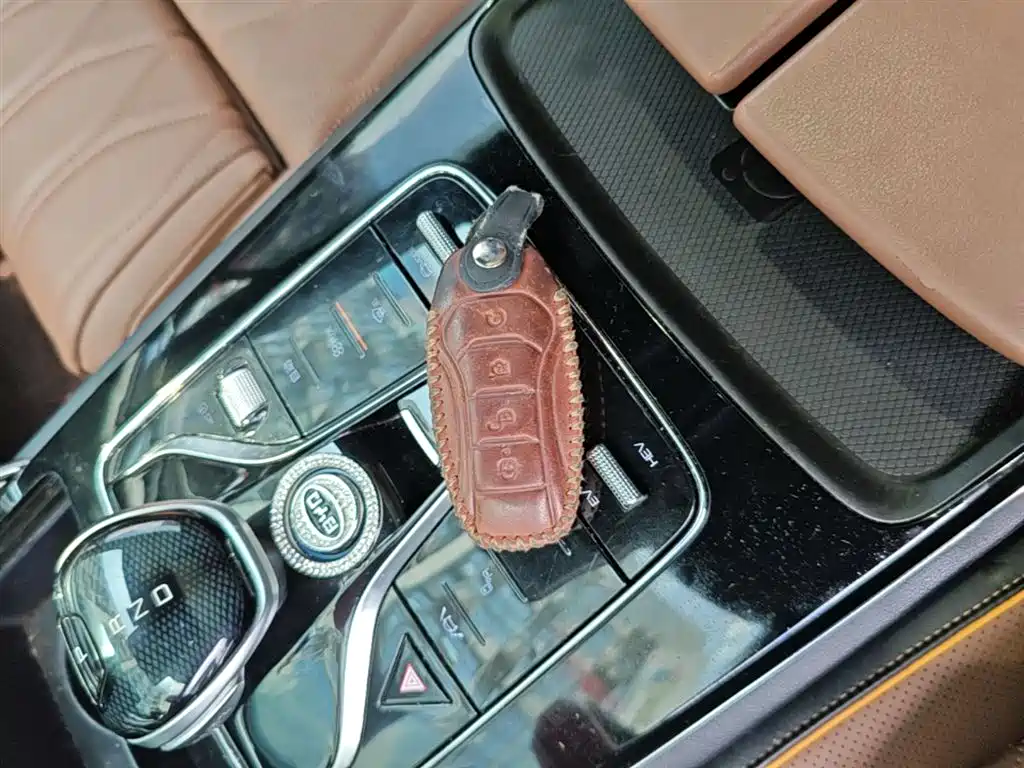 BYD BYD Tang DM-i 112KM 2023 - thumbnail 9