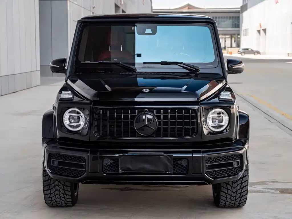 Mercedes-Benz Mercedes-Benz G-Class 2019 G 500 2019 - thumbnail 2