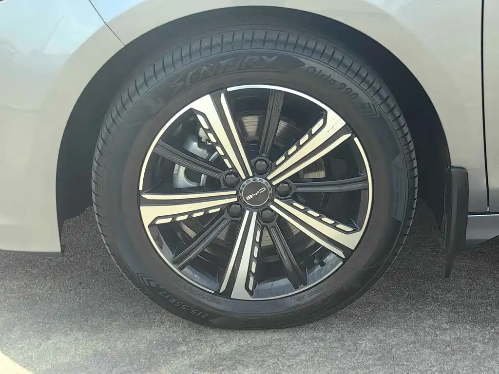 BYD Destroyer 05 2024 Honor Edition DM-i 120KM Luxury 2024 - thumbnail 12