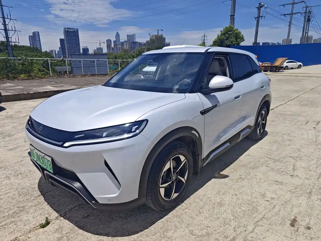 BYD BYD Yuan UP 2024 401KM Leading Edition 2024
