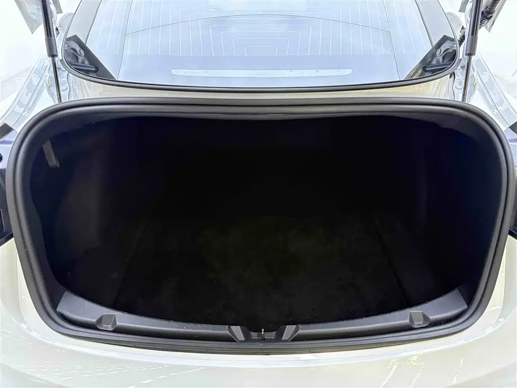 Tesla Model 3 2020 Long Range Rear-Wheel Drive 2021 - thumbnail 14