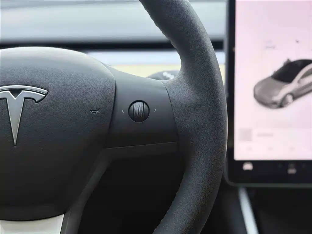 Tesla Model 3 2020 Long Range Rear-Wheel Drive 2021 - thumbnail 25