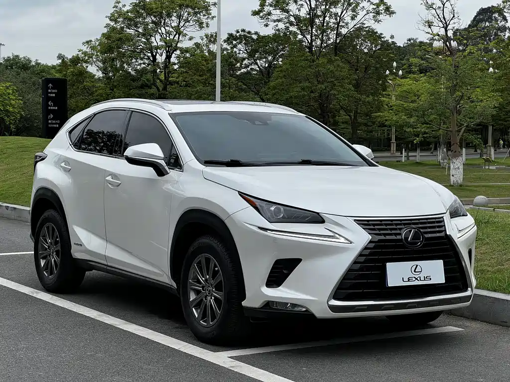 Lexus Lexus NX 300h FWD 2020 - thumbnail 2