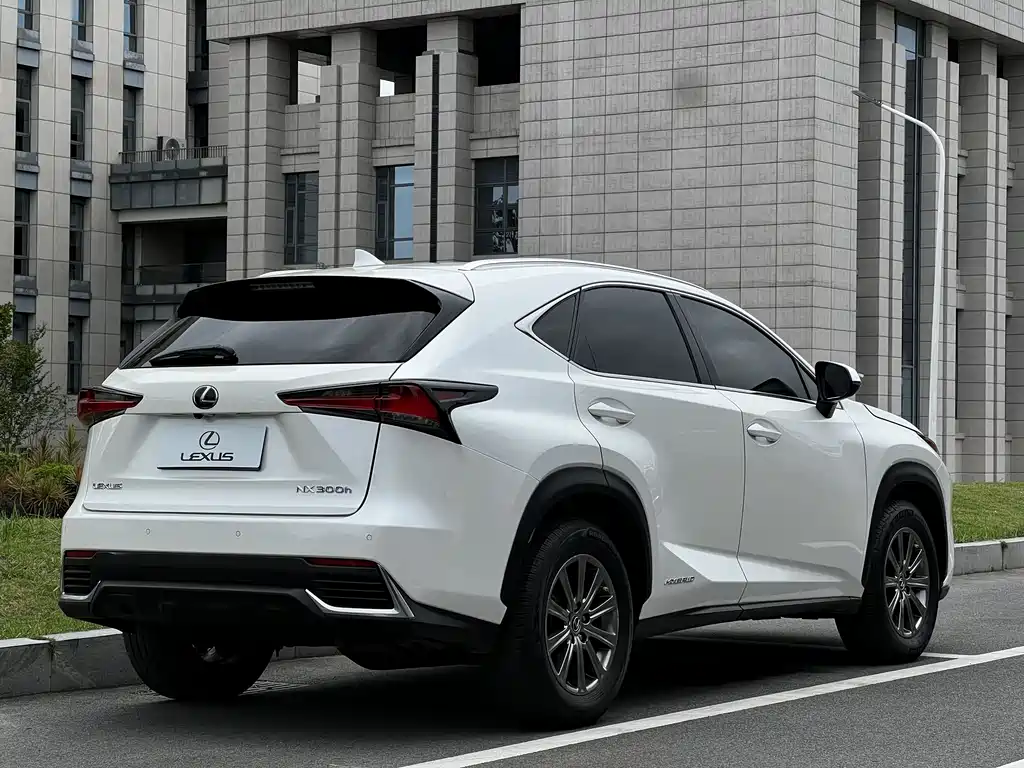 Lexus Lexus NX 300h FWD 2020 - thumbnail 4
