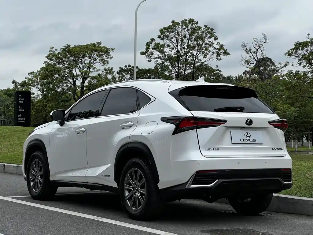 Lexus Lexus NX 300h FWD 2020 - thumbnail 5