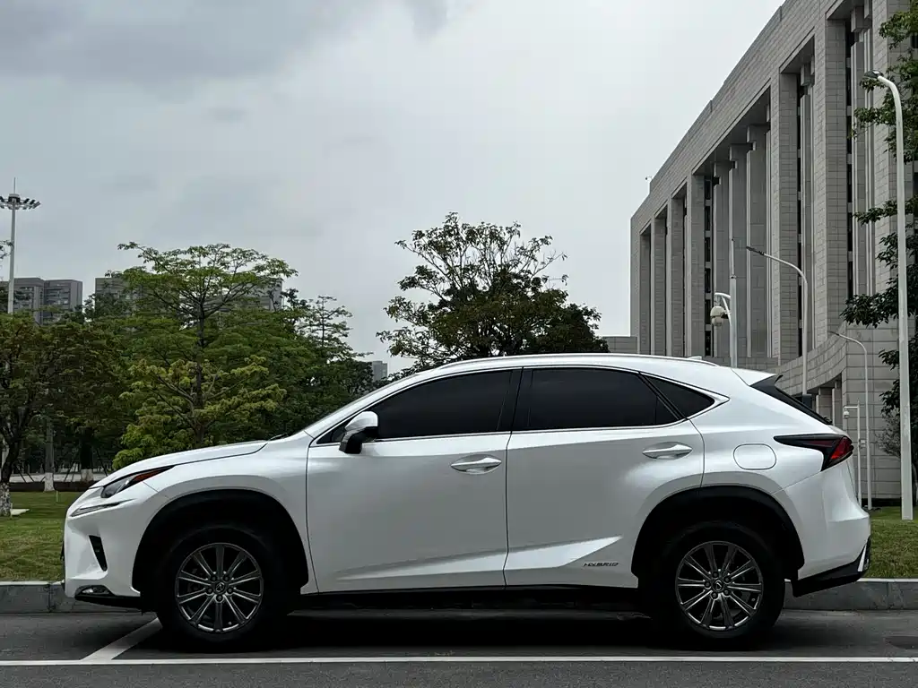 Lexus Lexus NX 300h FWD 2020 - thumbnail 6