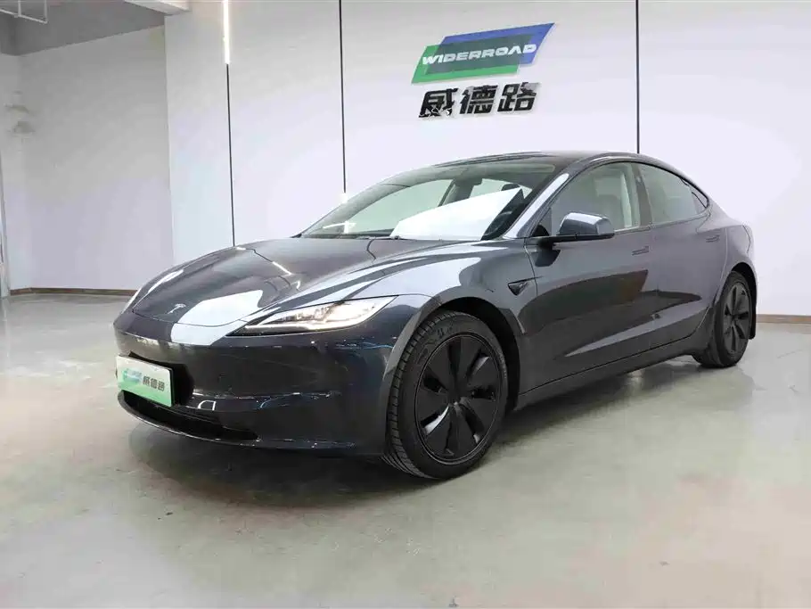 Tesla Tesla Model 3 2025