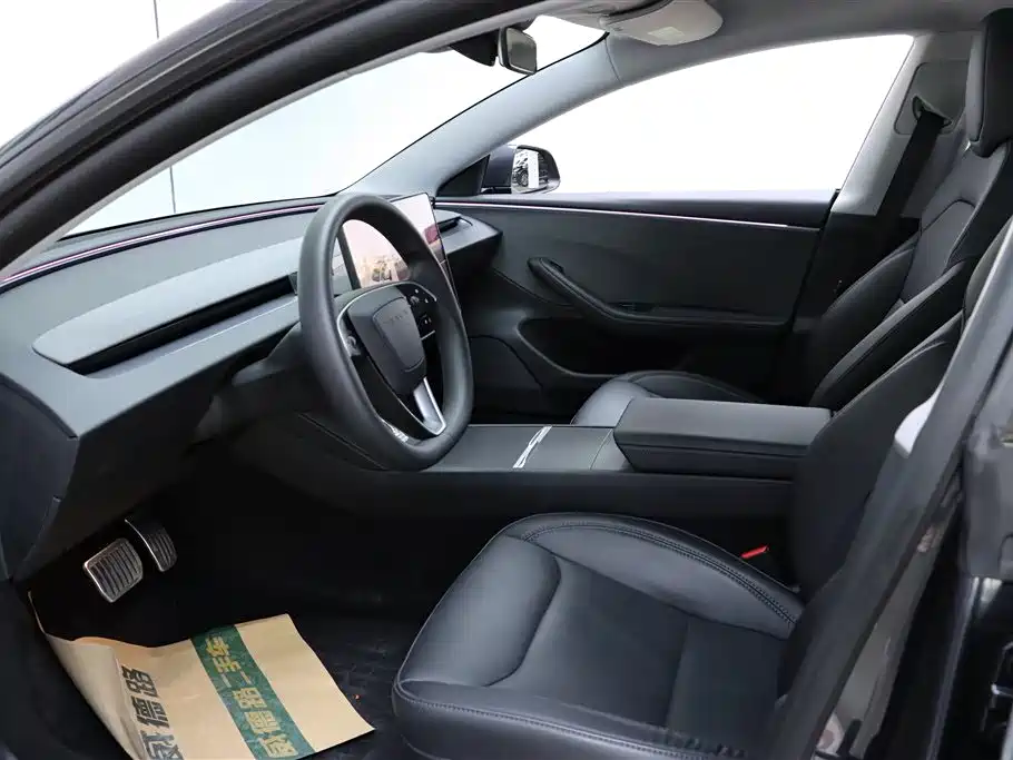 Tesla Tesla Model 3 2025 - thumbnail 10