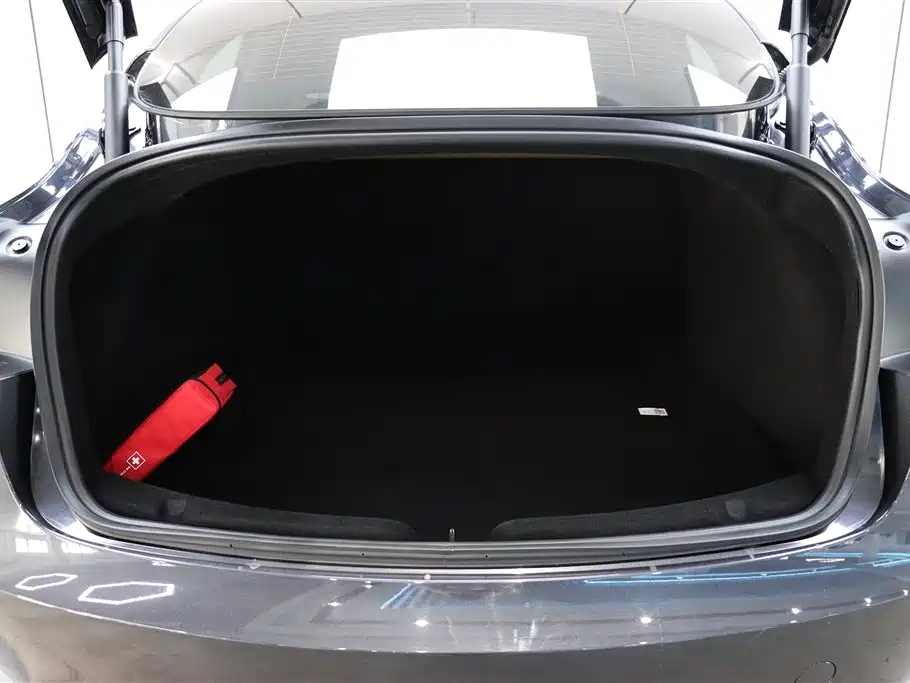 Tesla Tesla Model 3 2025 - thumbnail 27