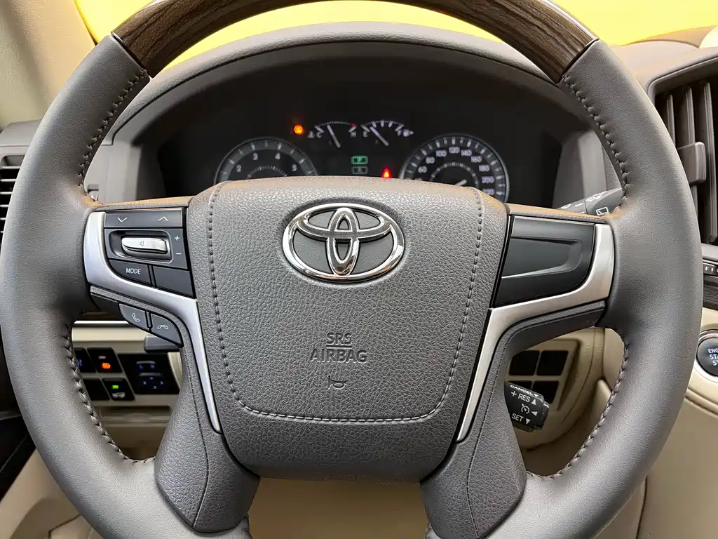 Toyota Land Cruiser (Import) 2017 4.0L Automatic 2019 - thumbnail 10