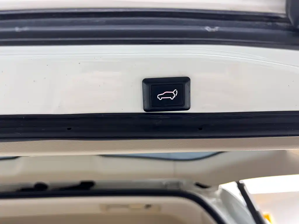 Toyota Land Cruiser (Import) 2017 4.0L Automatic 2019 - thumbnail 29