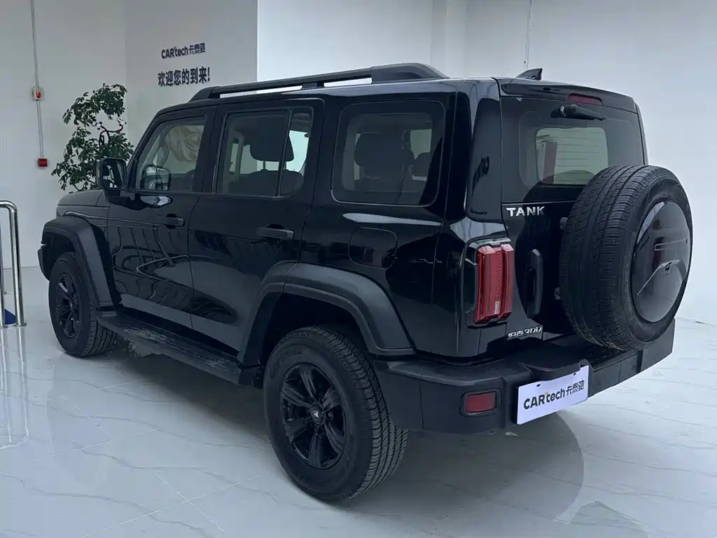 Tank Tank 300 2023 Off-Road Edition 2.0T Challenger 2023 - thumbnail 6