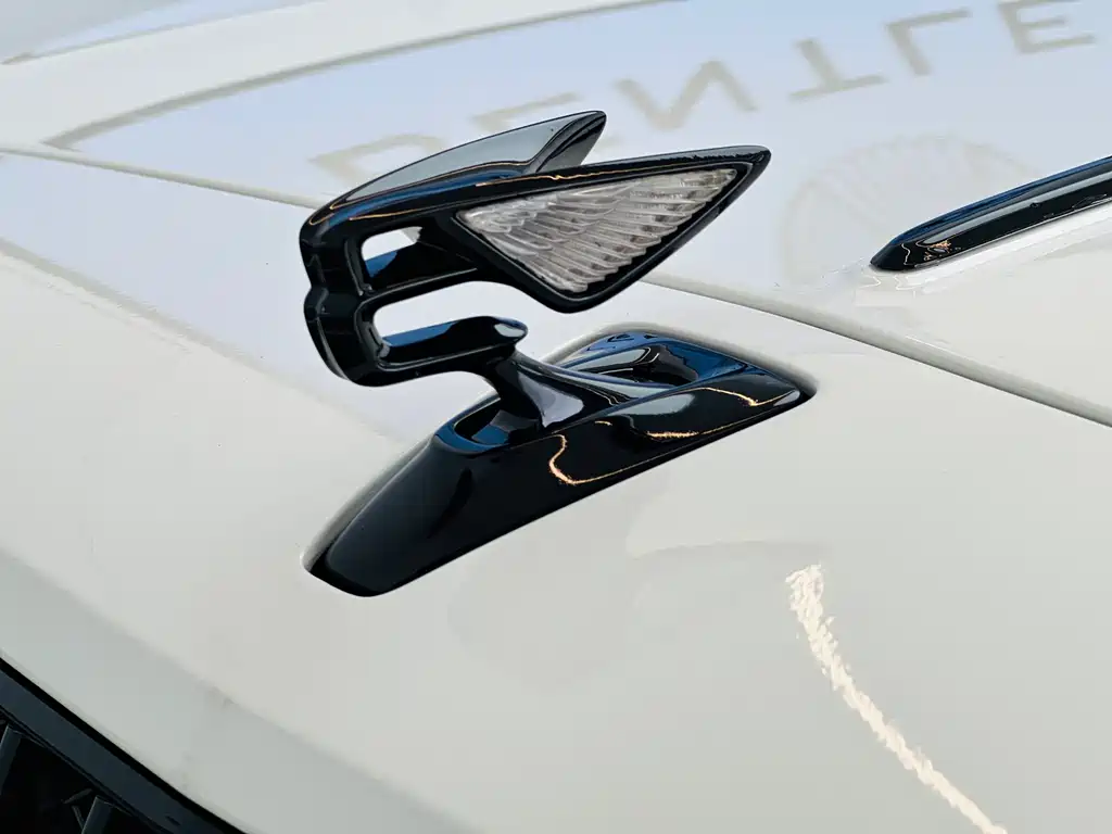 Bentley Bentley Flying Spur 2022 4.0T V8 Standard Edition 2022 - thumbnail 20