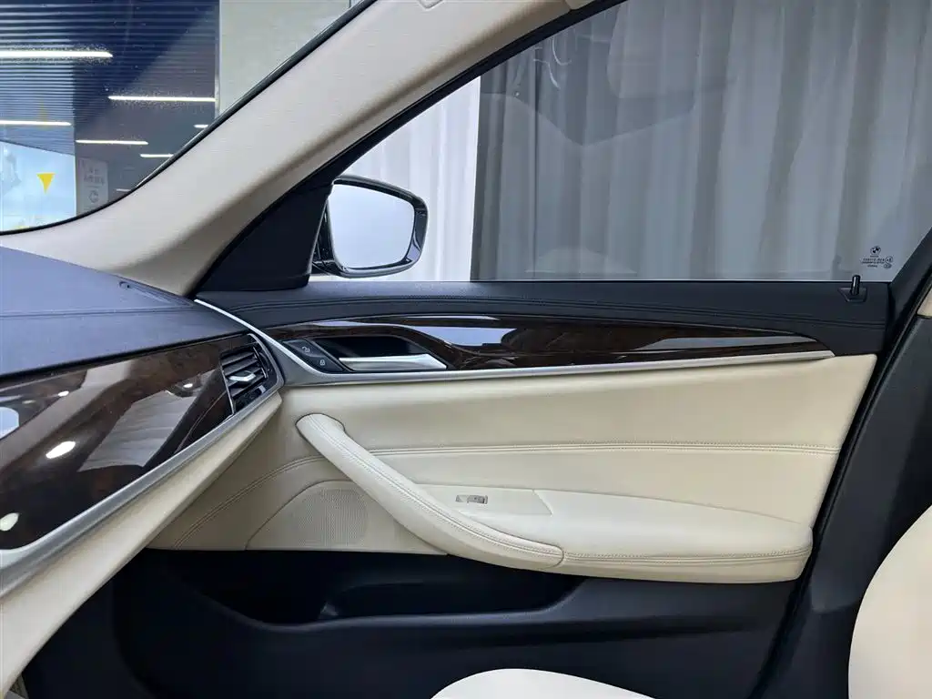 BMW BMW 5 Series 2019 525Li Luxury Package 2019 - thumbnail 17