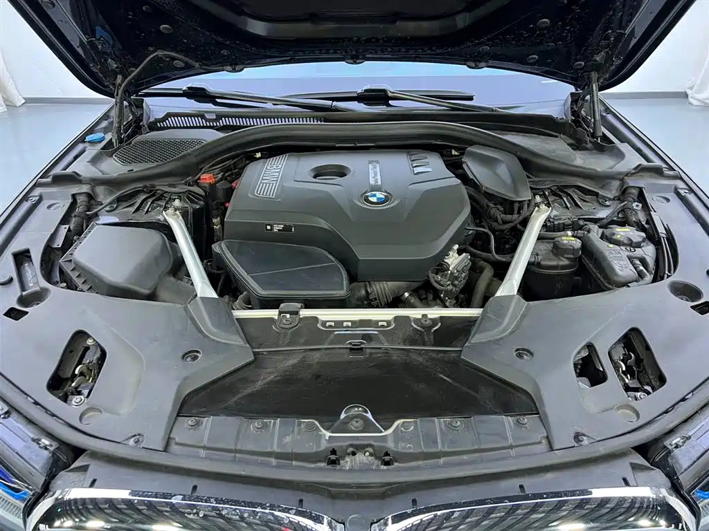 BMW BMW 5 Series 2019 525Li Luxury Package 2019 - thumbnail 24