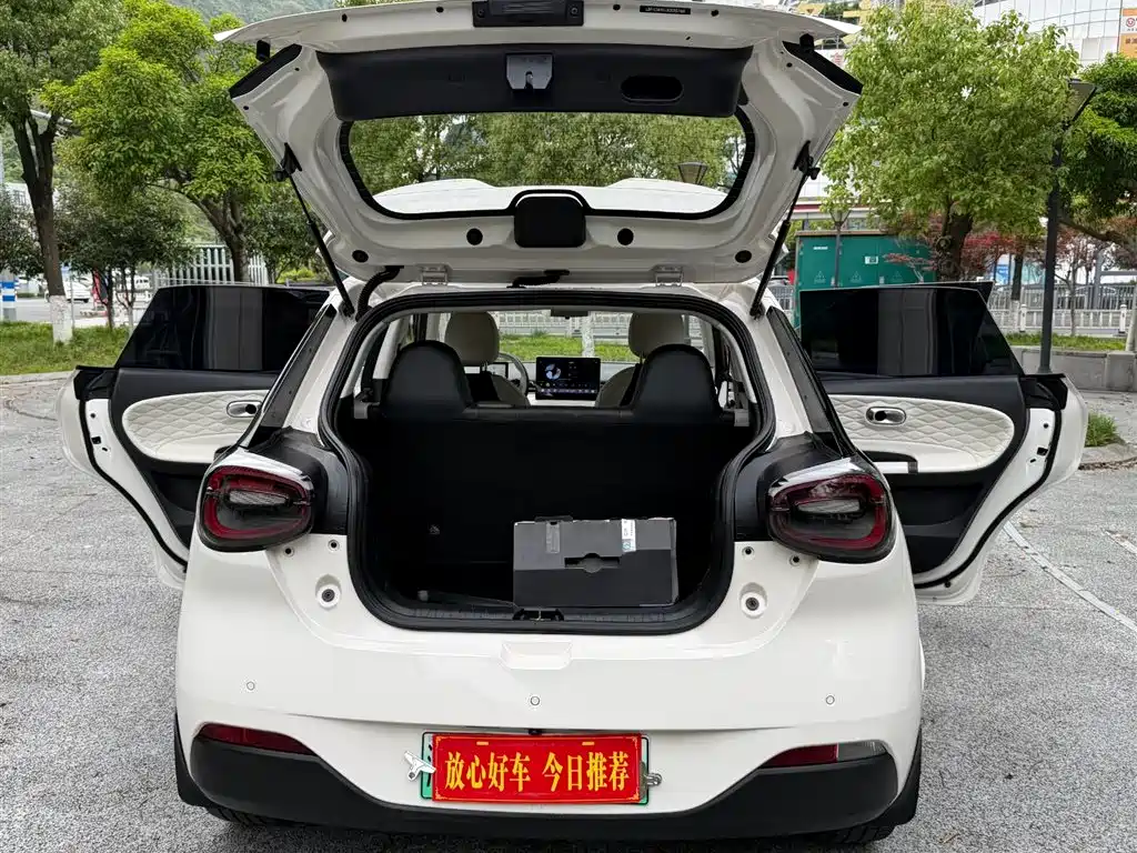 Dongfeng eπ Nammi 01 2024 330 Plus 2024 - thumbnail 25