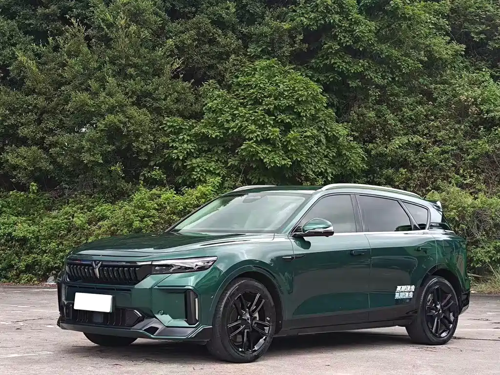 Voyah Voyah FREE 2024 Ultra Long Range Intelligent Driving Edition 2024